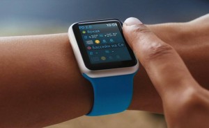 15977185_1222056197863217_7613131354755162479_n